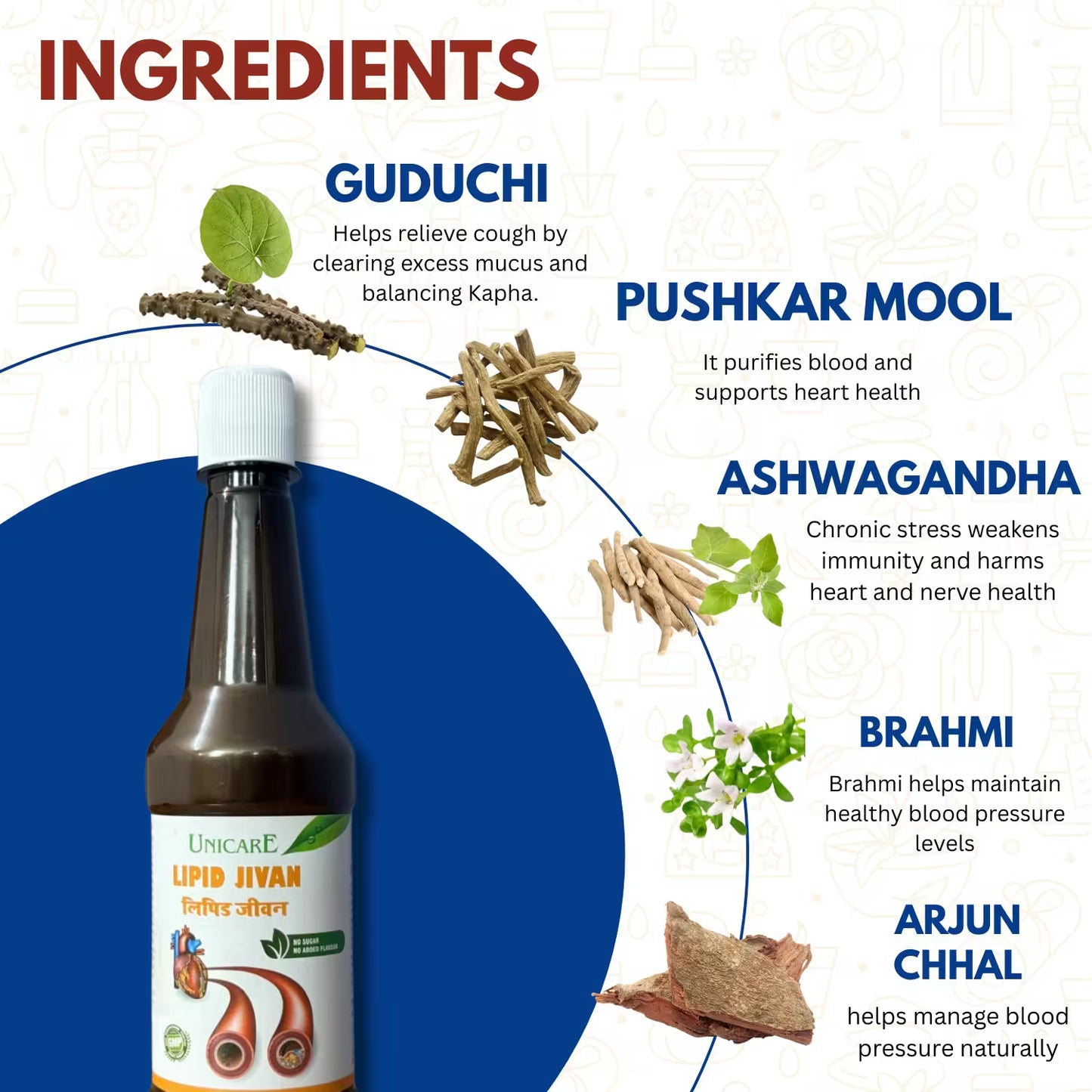 Lipid Jivan: Ayurvedic Herbal Juice for Cholesterol Control in India