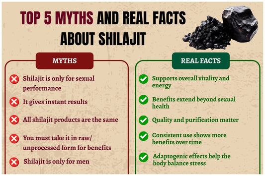 Top 5 Myths and Real Facts About Shilajit