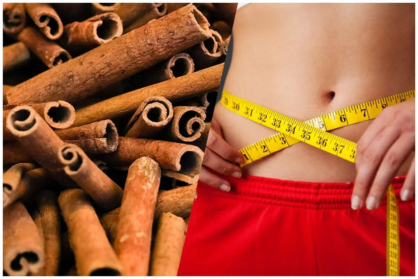 How to Use Dalchini for Weight Loss?