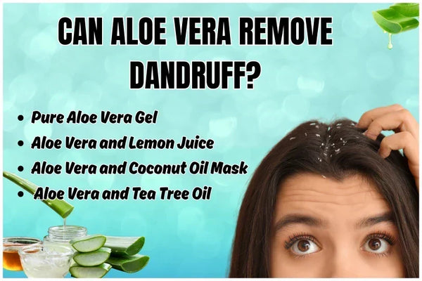 Can Aloe Vera Remove Dandruff? Learn how