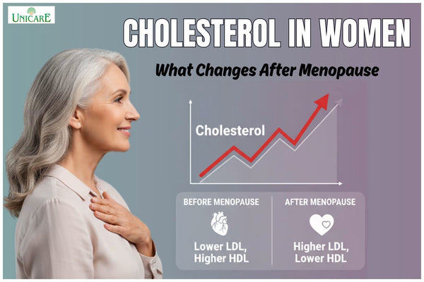 Cholesterol in Women What Changes After Menopause 