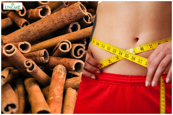 How to Use Dalchini for Weight Loss?