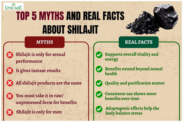 Top 5 Myths and Real Facts About Shilajit