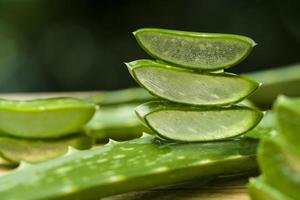 Aloe barbadensis