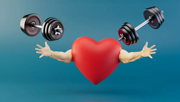 Helps maintain heart rhythm, muscle function
