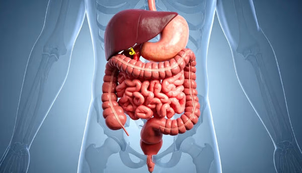 Helps Treat Urinary