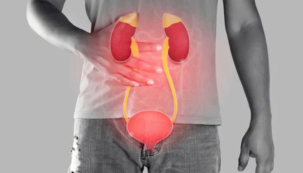 Supports Urinary Issues