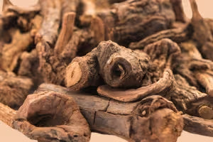 Chitrak Bark