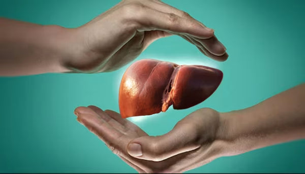 Supports liver health and may help with liver conditions
