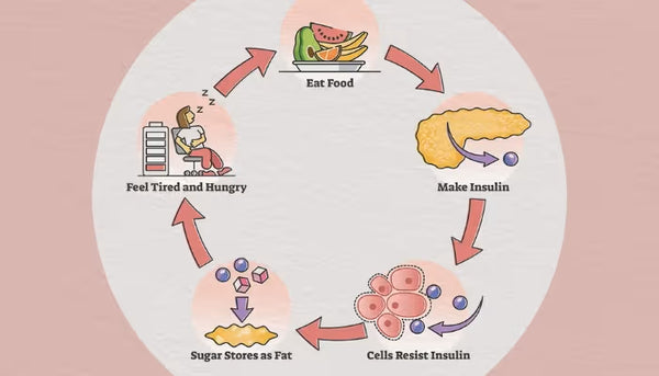 May assist in regulating insulin function