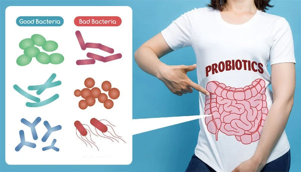 Promotes healthy gut bacteria and overall digestive balance