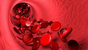 Supports the body’s natural detox and blood purification processes