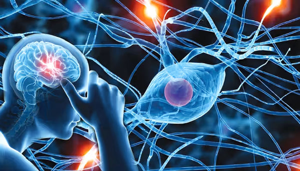 Highly effective for managing nervous system disorders