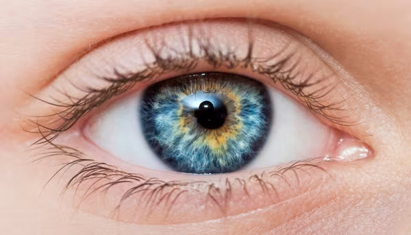 Helps maintain eye health and visual clarity
