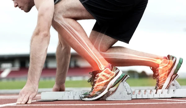 Helps maintain joint comfort and flexibility