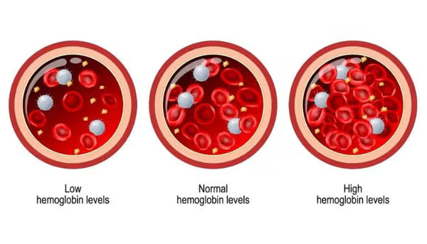 Supports healthy hemoglobin levels