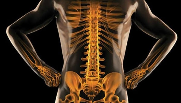 Provides calcium to bones and strengthens muscles