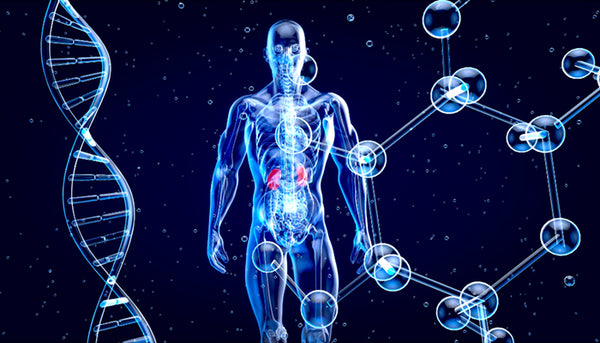 Reduce inflammation