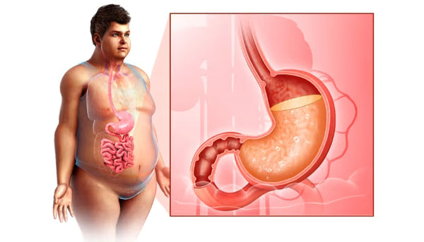 Benefits in Gas, Acidity and Bloating