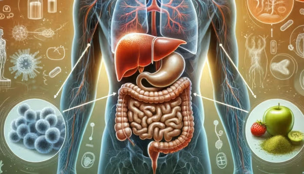 Detoxifies & cleanses the digestive tract