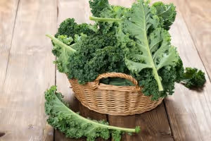 Kale Leaves Powder