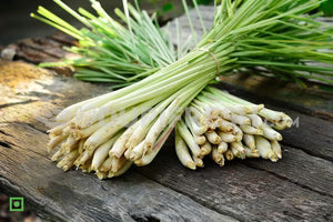 Lemongrass