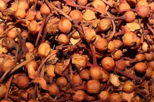 Nagkeshar