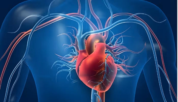 Heart Health