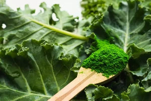 Kale Leaves Powder