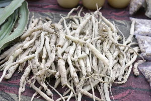 Safed Musli