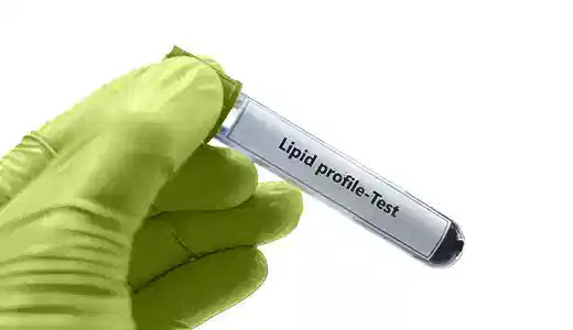 Best Blood Purifier in Ayurveda