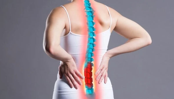 Supports bone health in osteoporosis
