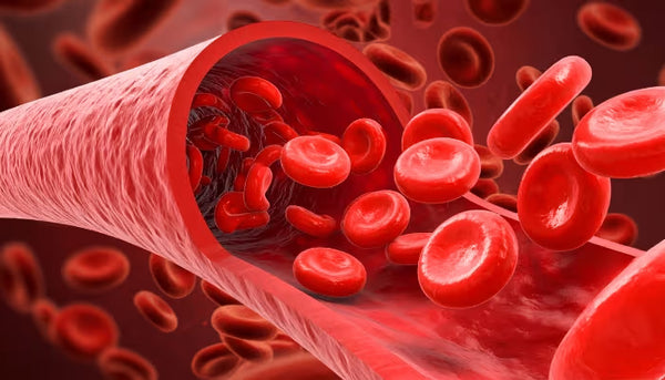 Detoxifies the body and purifies blood
