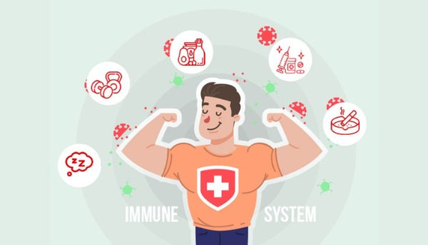 Supports normal immune function