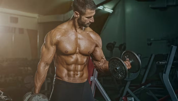 Supports lean muscle development and helps maintain a healthy body weight