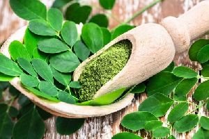 Moringa Leaves