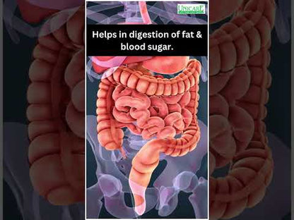 Diabetes Alert 100 gram: Ayurvedic Medicine for Blood Sugar & Type 2 Diabetes