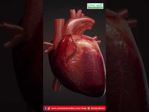 Ayurvedic cholesterol care juice