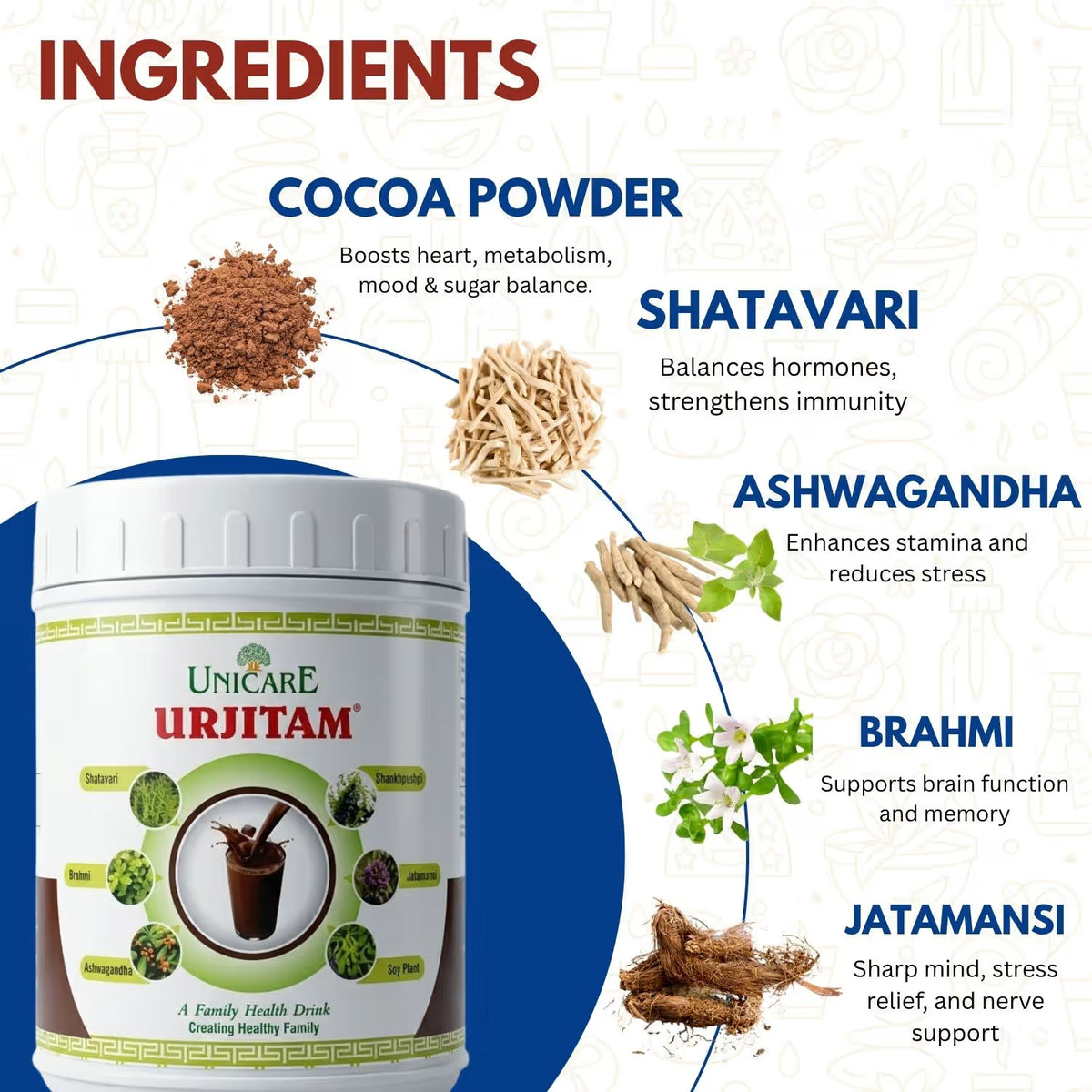 Ayurvedic protein powder for energy and strength