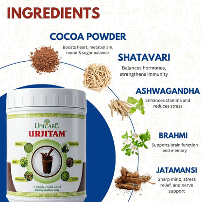 Ayurvedic protein powder for energy and strength
