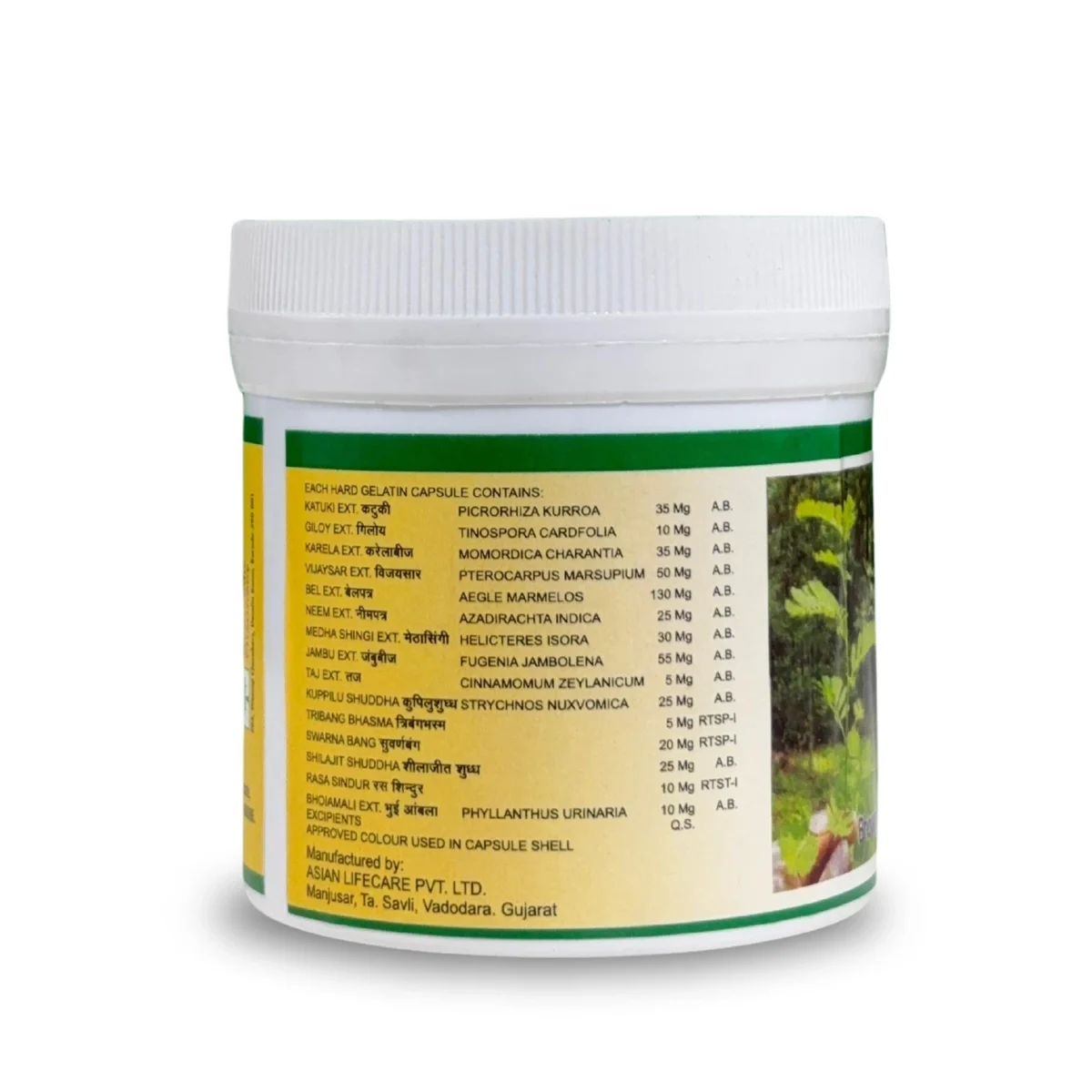 ingredients name with quantity use for diabigo