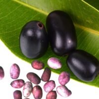 jambu extract jambu extract