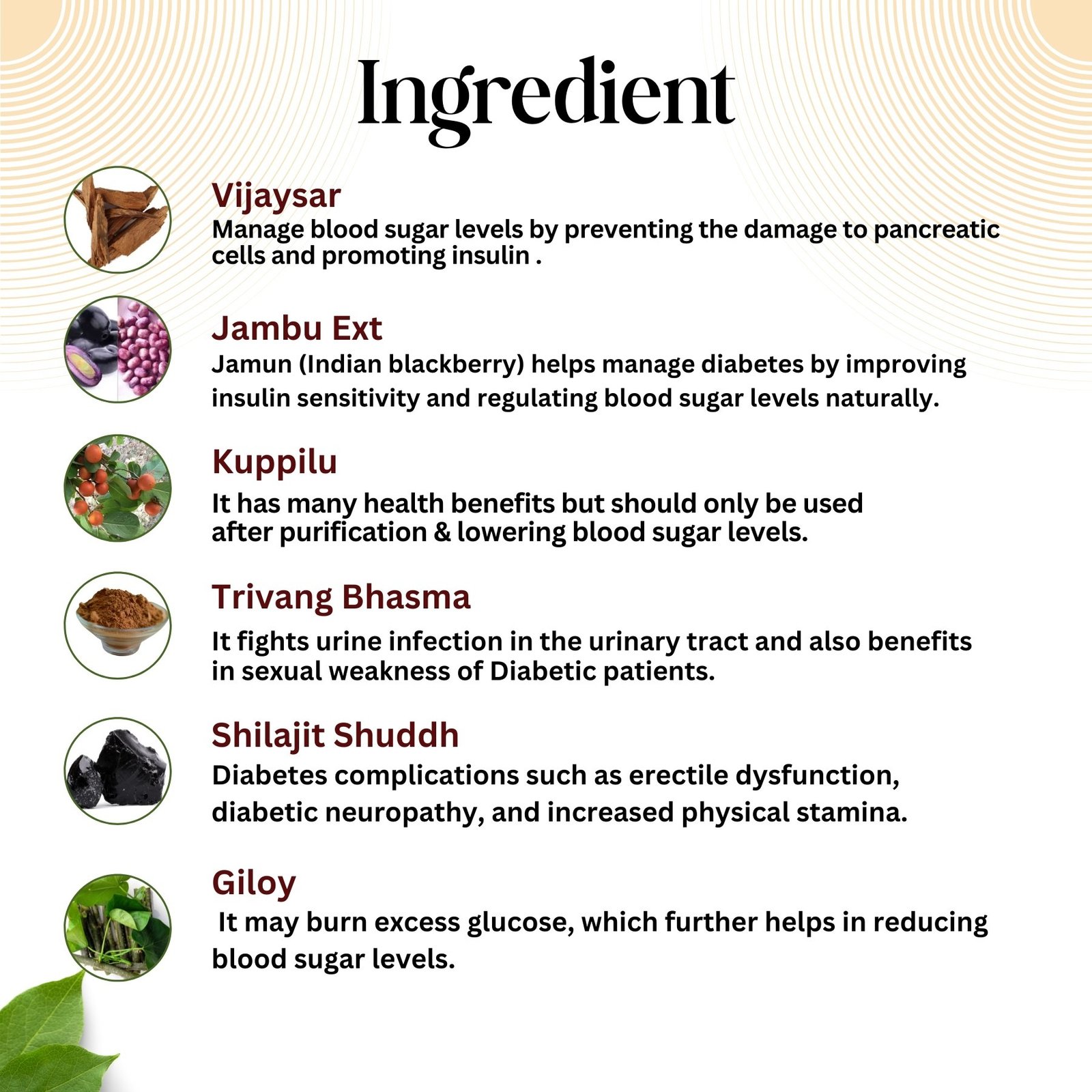 key ingredients of diabigo