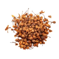 nagkesar extract nagkesar extract