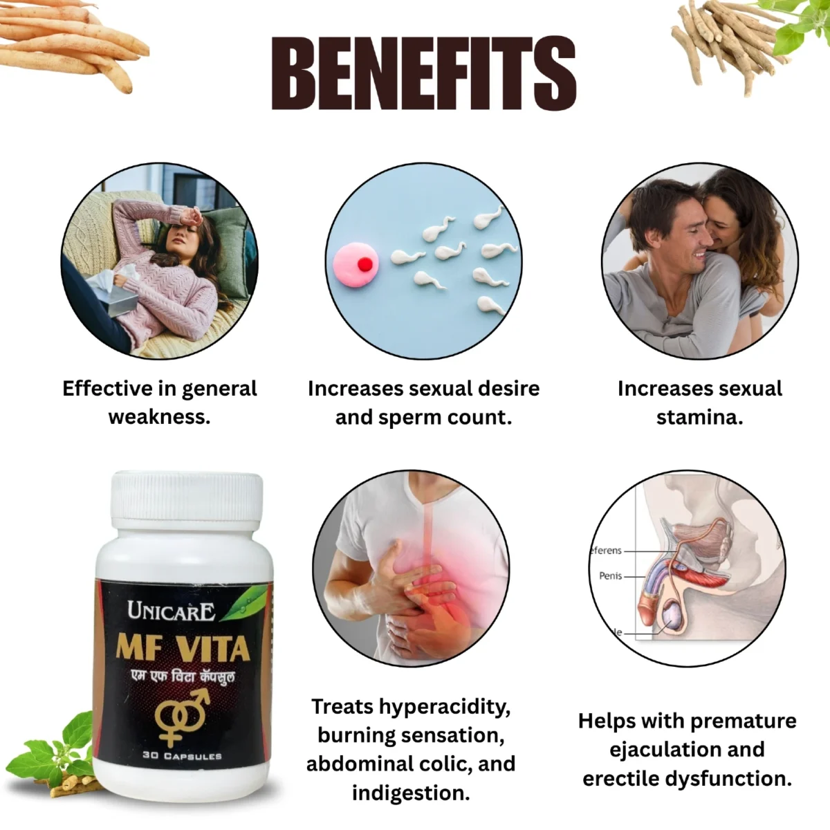 major key benefits of mf vita