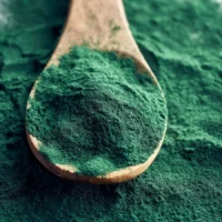 spirulina platensis spirulina platensis