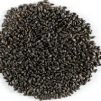 Basil Seed basil seed