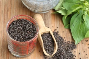 benefits of basil seeds