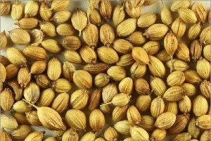 benefits of coriander