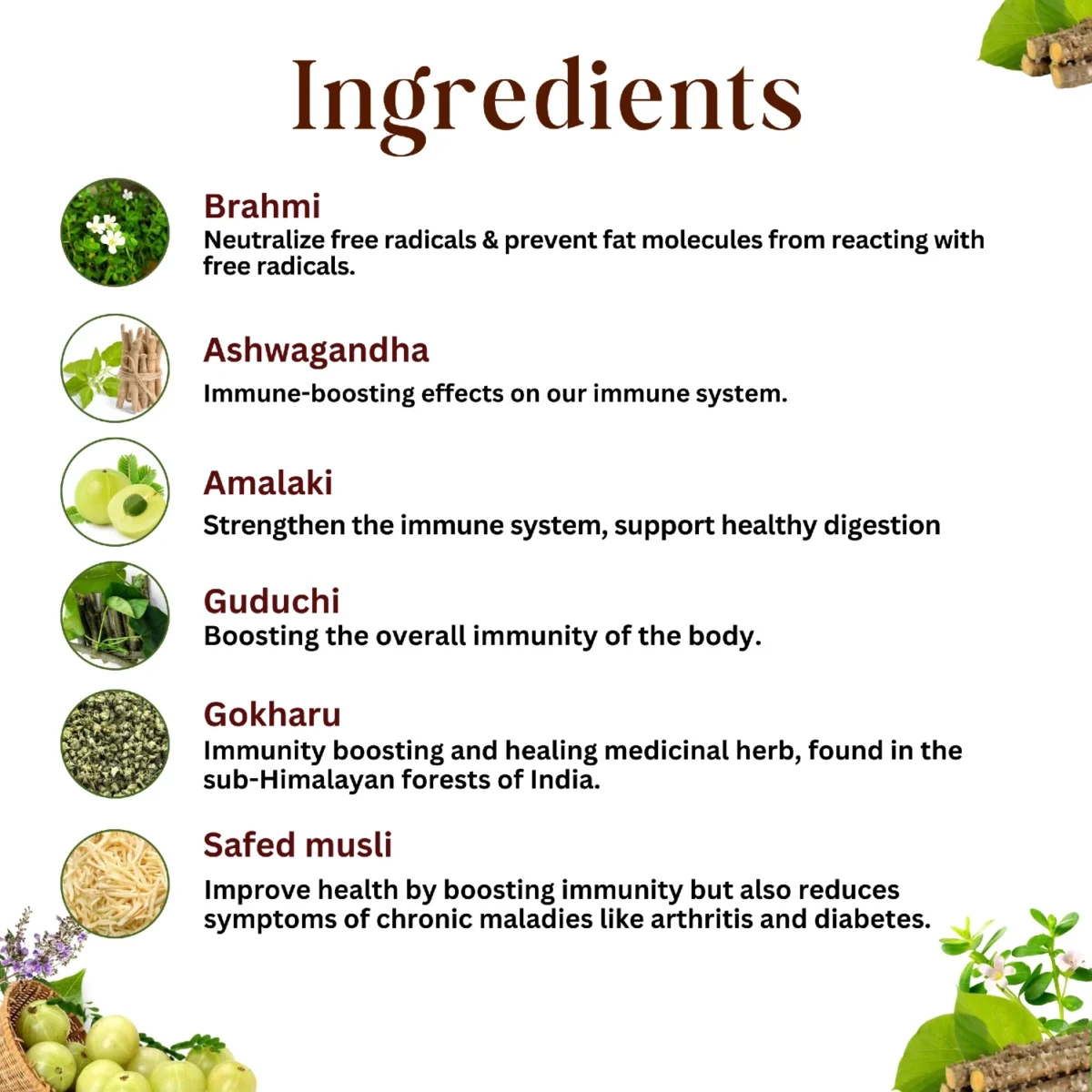 key ingredients of jeevan raksha syrup